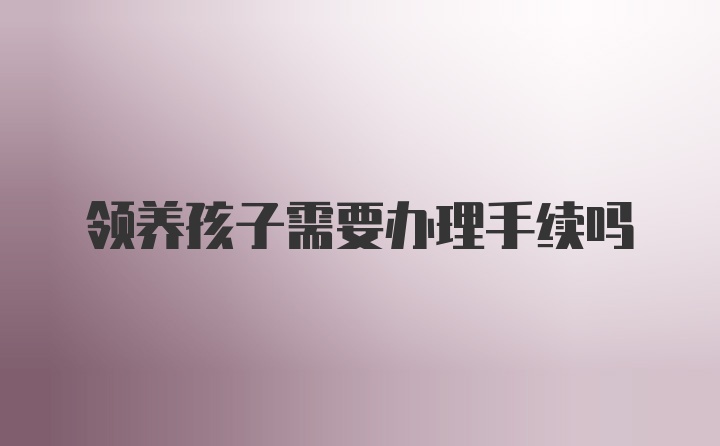 领养孩子需要办理手续吗