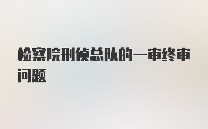 检察院刑侦总队的一审终审问题