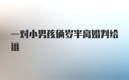 一对小男孩俩岁半离婚判给谁