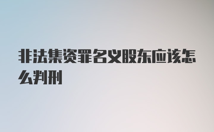 非法集资罪名义股东应该怎么判刑