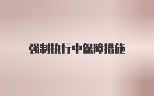 强制执行中保障措施