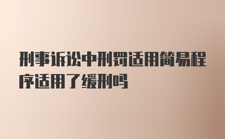 刑事诉讼中刑罚适用简易程序适用了缓刑吗