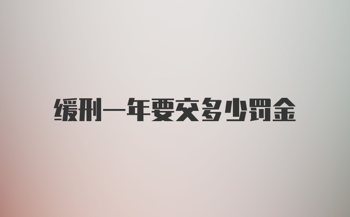 缓刑一年要交多少罚金