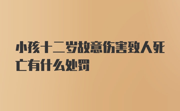 小孩十二岁故意伤害致人死亡有什么处罚