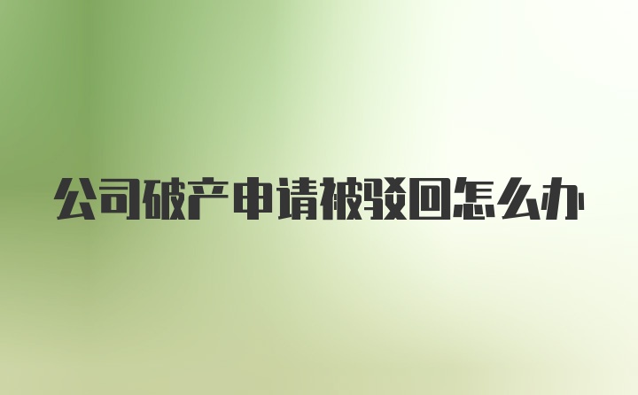 公司破产申请被驳回怎么办