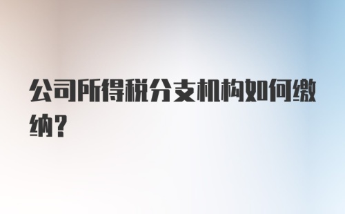 公司所得税分支机构如何缴纳?