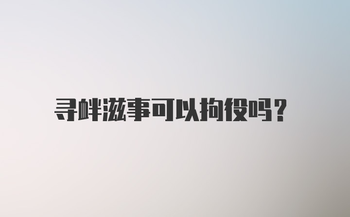 寻衅滋事可以拘役吗？