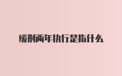 缓刑两年执行是指什么