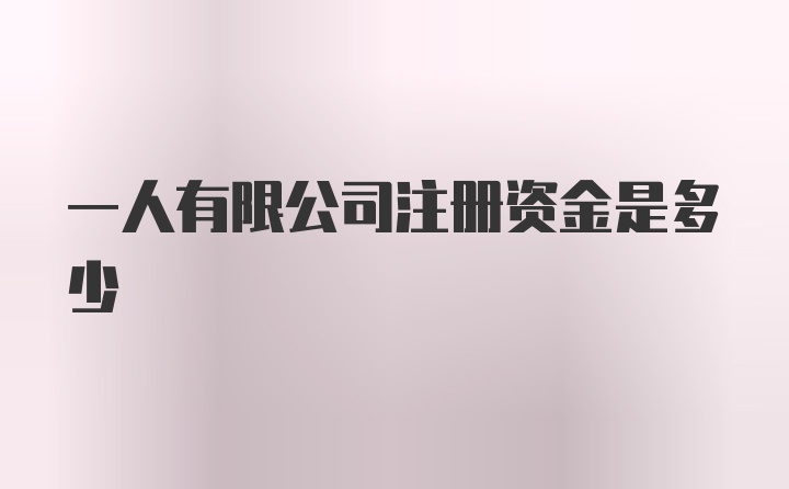 一人有限公司注册资金是多少