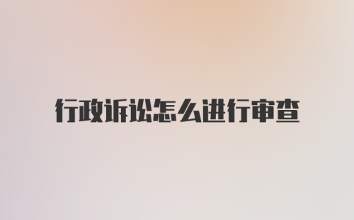 行政诉讼怎么进行审查