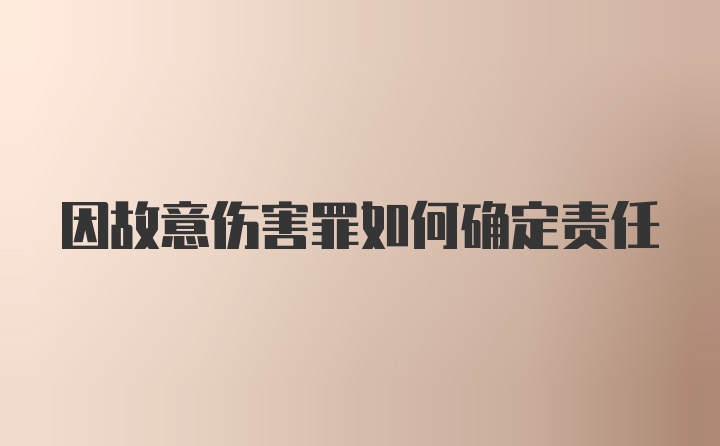 因故意伤害罪如何确定责任