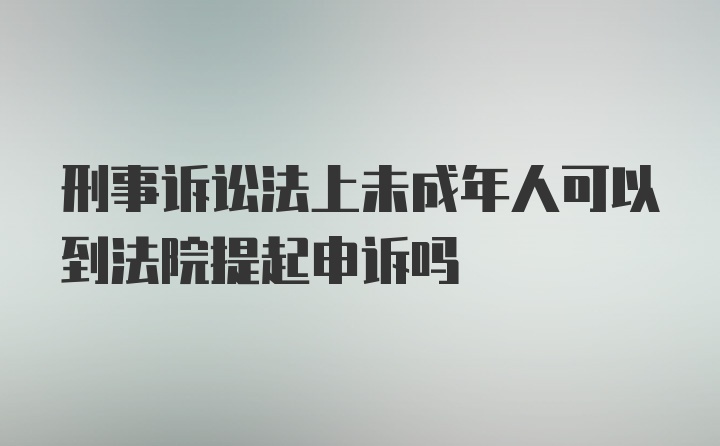 刑事诉讼法上未成年人可以到法院提起申诉吗