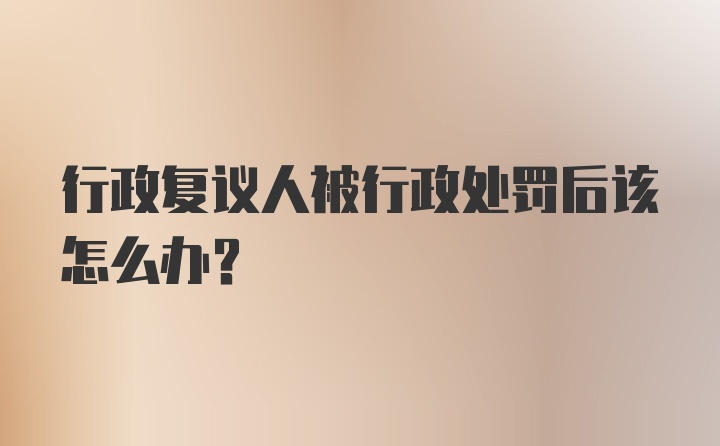 行政复议人被行政处罚后该怎么办？