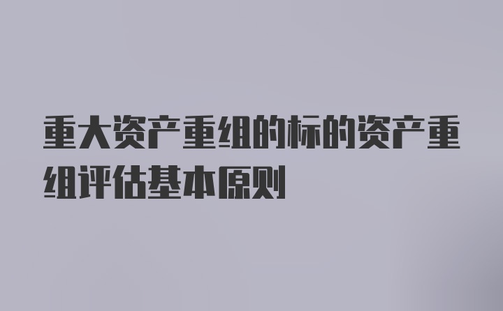 重大资产重组的标的资产重组评估基本原则