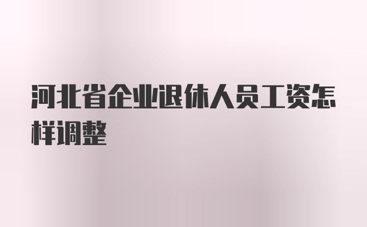 河北省企业退休人员工资怎样调整