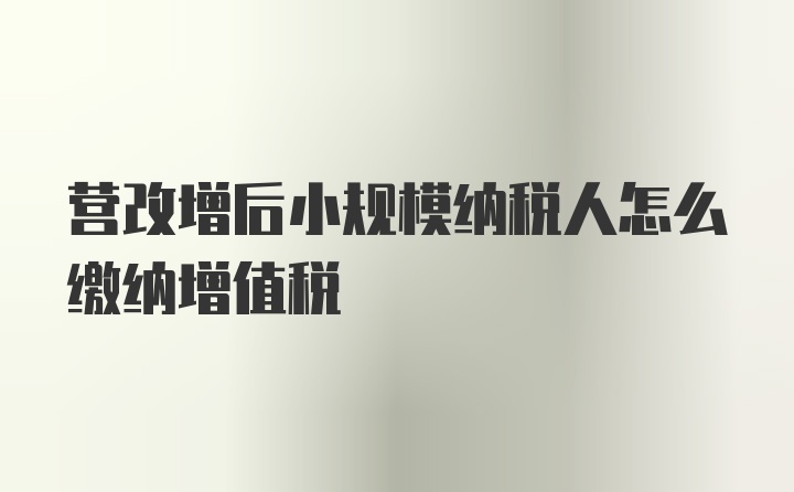 营改增后小规模纳税人怎么缴纳增值税