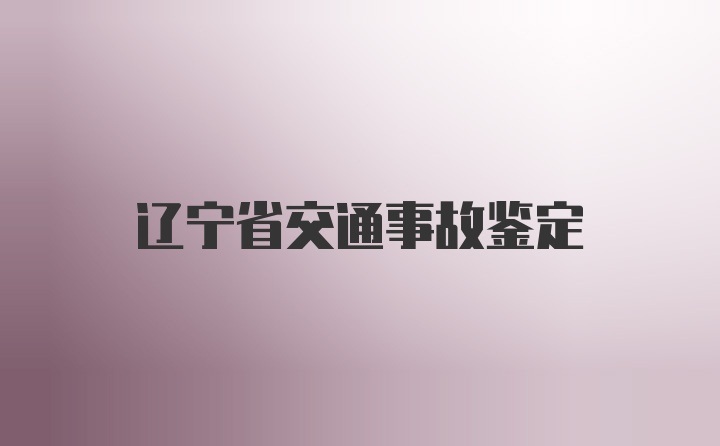 辽宁省交通事故鉴定