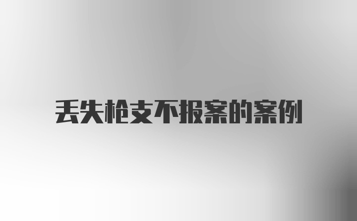 丢失枪支不报案的案例