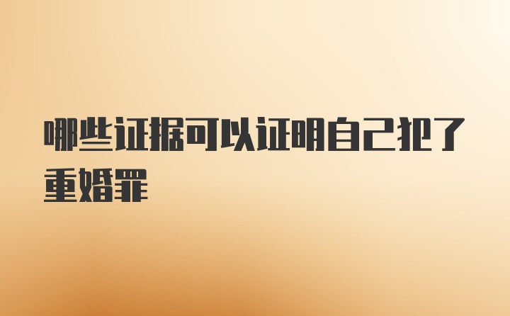 哪些证据可以证明自己犯了重婚罪