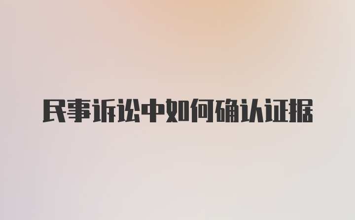 民事诉讼中如何确认证据