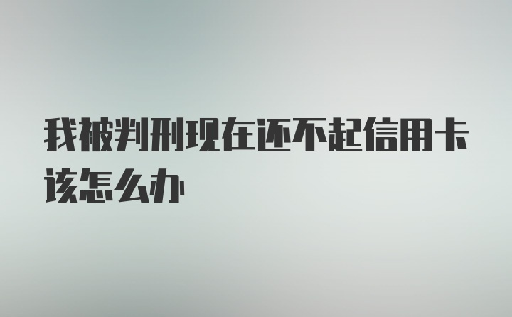 我被判刑现在还不起信用卡该怎么办