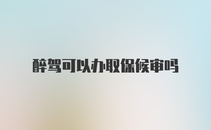 醉驾可以办取保候审吗