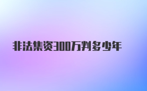 非法集资300万判多少年