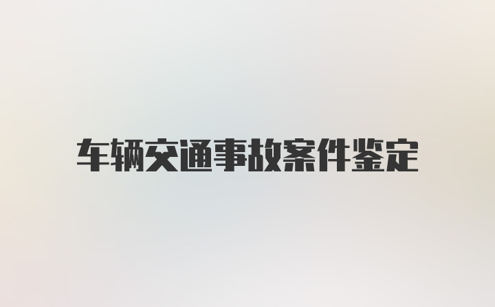 车辆交通事故案件鉴定