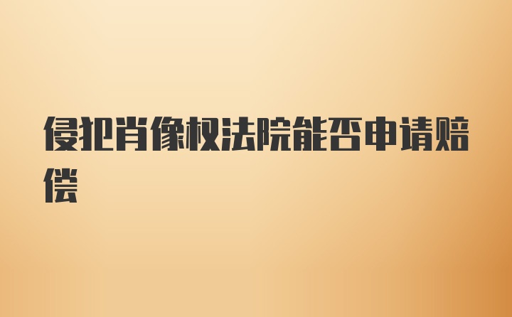 侵犯肖像权法院能否申请赔偿