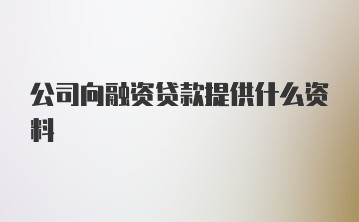 公司向融资贷款提供什么资料