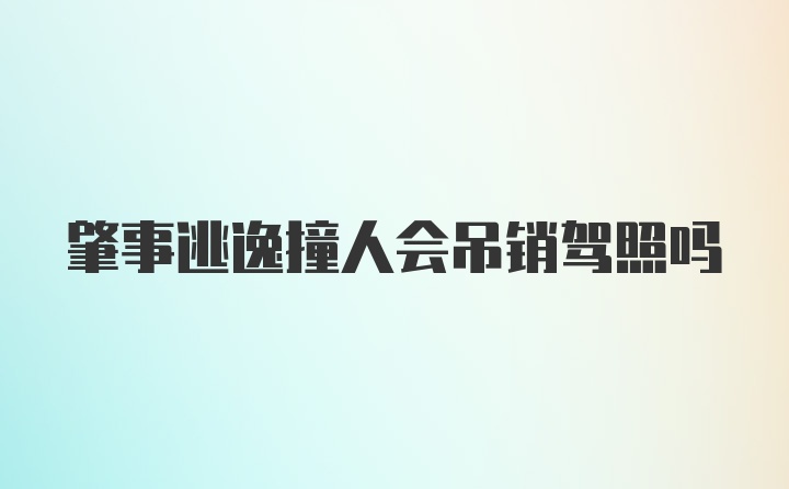 肇事逃逸撞人会吊销驾照吗