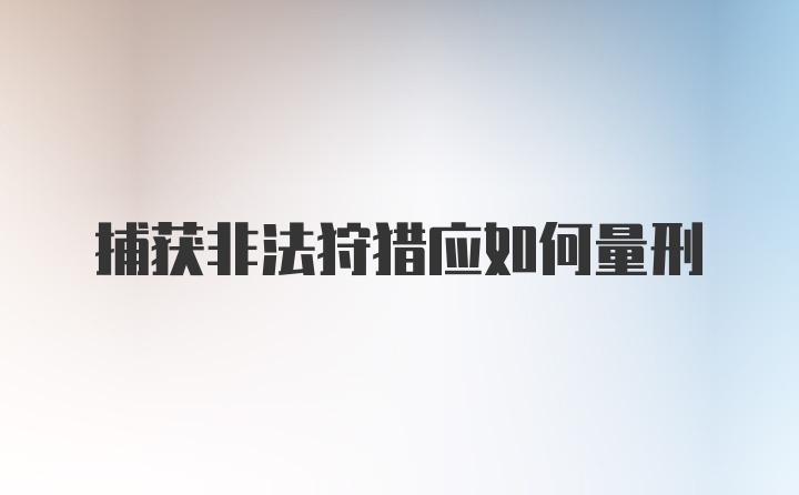 捕获非法狩猎应如何量刑