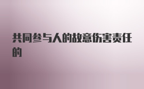 共同参与人的故意伤害责任的