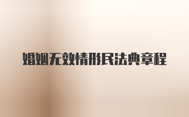 婚姻无效情形民法典章程