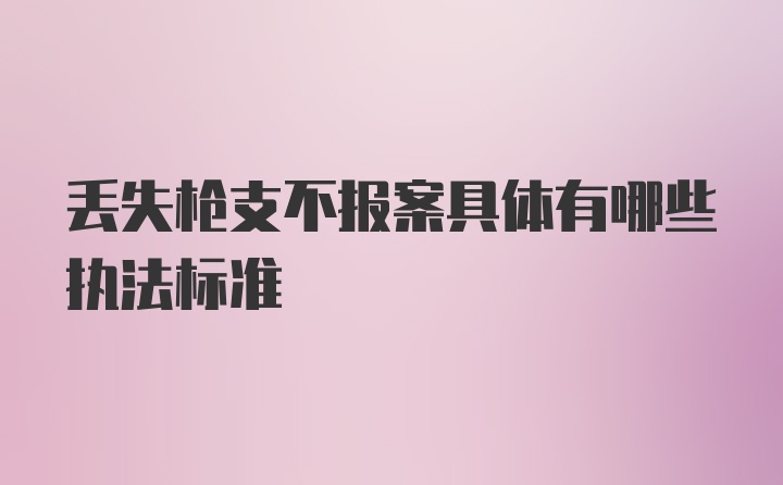 丢失枪支不报案具体有哪些执法标准