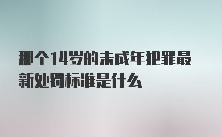 那个14岁的未成年犯罪最新处罚标准是什么