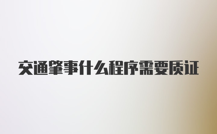 交通肇事什么程序需要质证