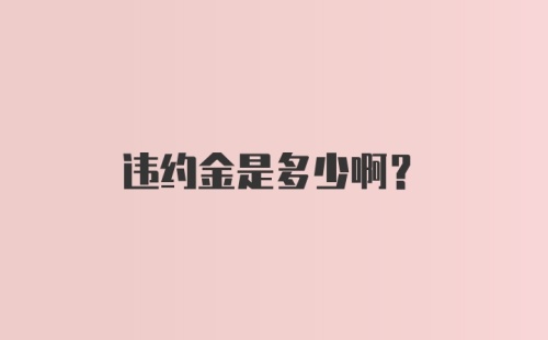 违约金是多少啊？