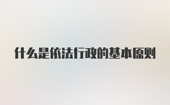 什么是依法行政的基本原则