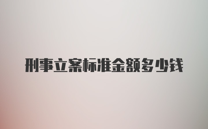 刑事立案标准金额多少钱