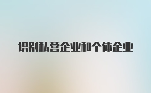 识别私营企业和个体企业