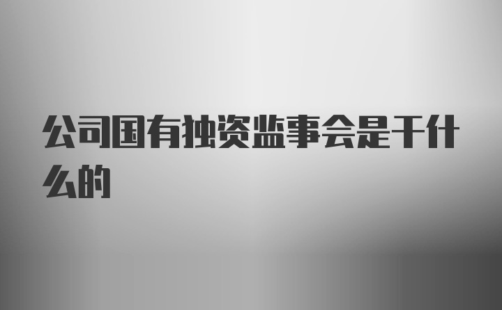 公司国有独资监事会是干什么的