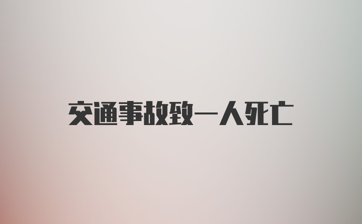 交通事故致一人死亡