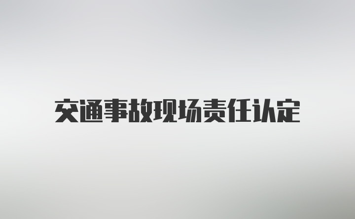 交通事故现场责任认定