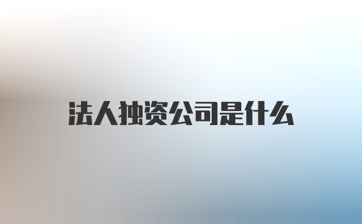 法人独资公司是什么