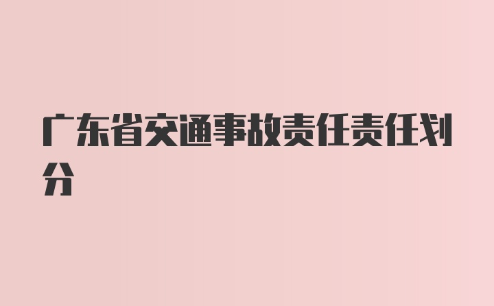 广东省交通事故责任责任划分