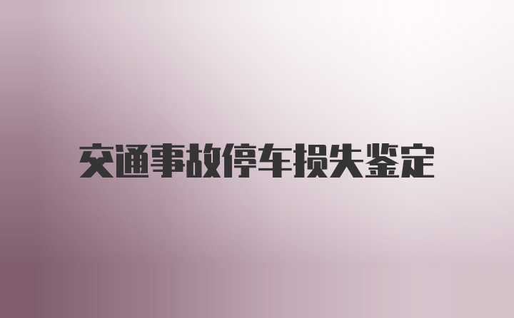 交通事故停车损失鉴定