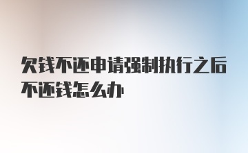 欠钱不还申请强制执行之后不还钱怎么办