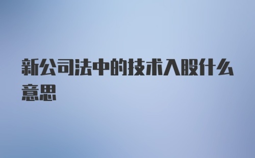 新公司法中的技术入股什么意思