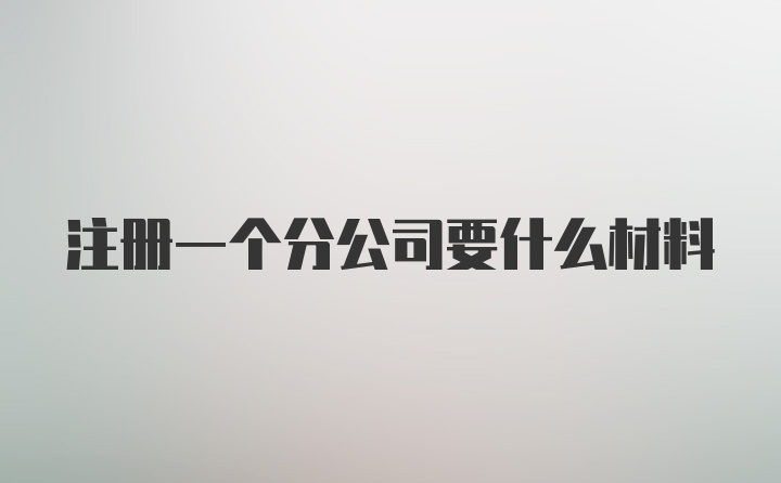 注册一个分公司要什么材料